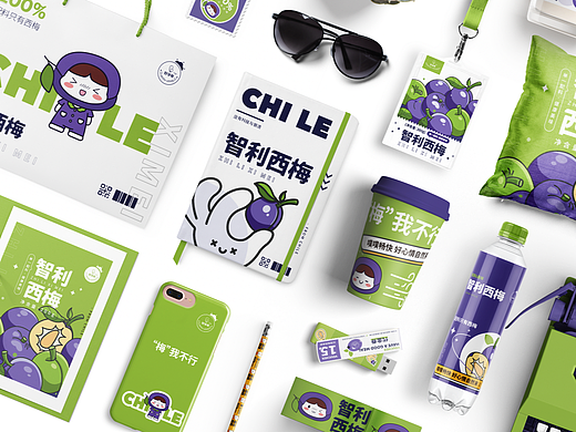 好孕帮丨智利西梅品牌设计
