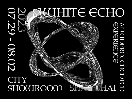 WHITE ECHO | 《白色回声》艺术展览主视觉