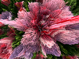 畢設-華為手機三維動畫廣告