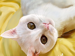 写实猫咪步骤分享:求撸的猫咪