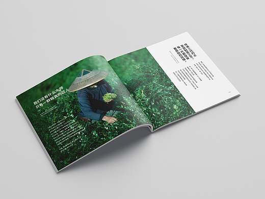 茶叶-画册设计（个人主页-ZNTAyNDA5NzY=） - 书籍/画册 - 站酷设计师西瓜田里养过鱼原创素材 - 站酷ZCOOL