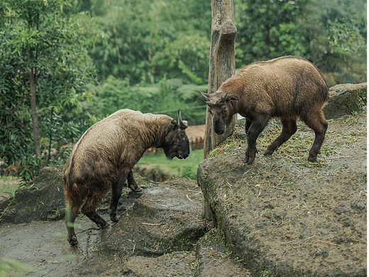 ChainOE日历（8月1-31日）