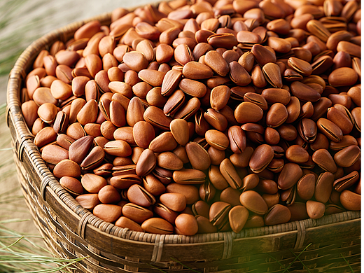 美食摄影-松子｜伴山松林✖青屿川