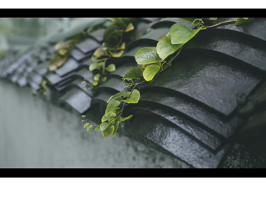 UE4超写实渲染作品《雨巷》