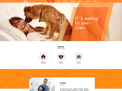 宠物网站设计（平面图+原型图）
