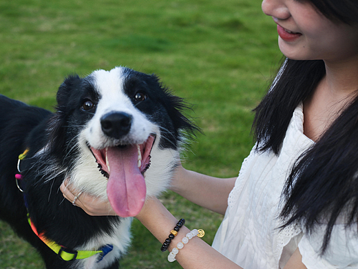 奥利奥（个人主页-ZNjE2NTkzMDg=） - 宠物摄影 - 站酷设计师GraceWTX原创素材 - 站酷ZCOOL