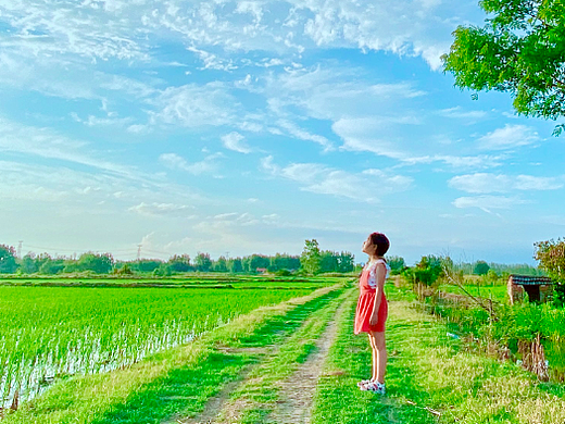 宫崎骏的夏天