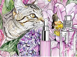 AIGC與包裝設(shè)計作品集