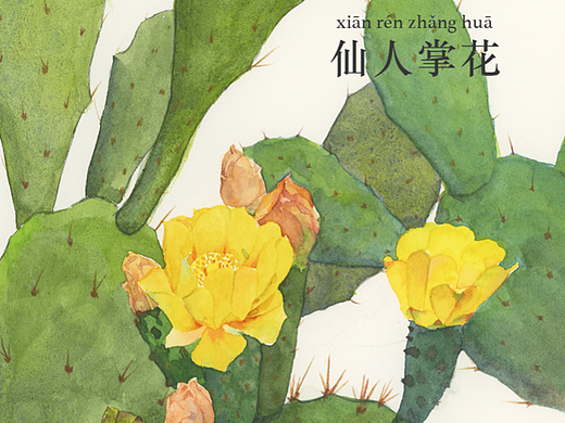 花·图鉴 「五」