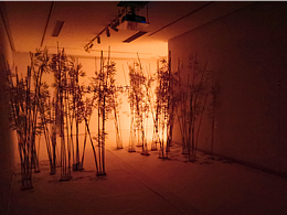 站在从未离开的地方