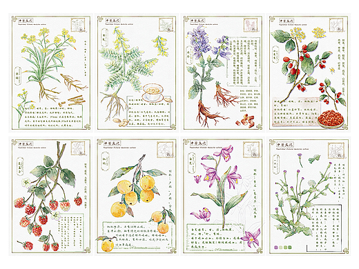 中草药系列插画(个人主页-ZNjc4NTY2NzI=) - 商业插画 - 站酷设计师半白的画原创素材 - 站酷ZCOOL