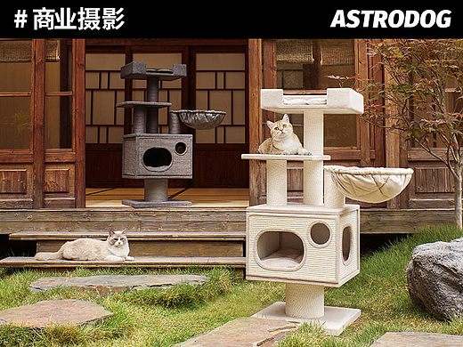 宠物用品拍摄-兽牌猫爬架/猫抓板/猫家居