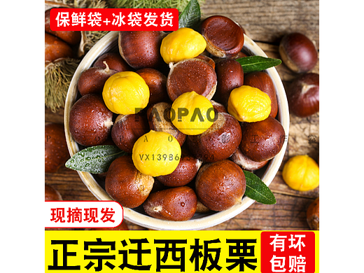 新鲜生板栗网红爆款主图，详情，视频全套素材可商用