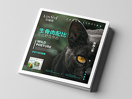 画册