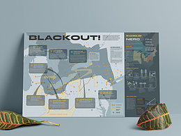BLACKOUT 2003 Infographic Poster