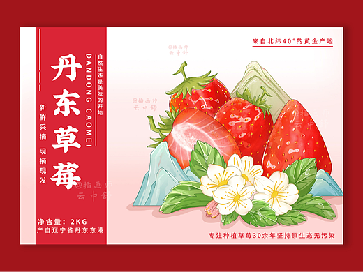 原创丹东草莓国风包装设计|水果包装