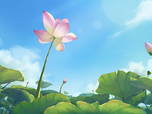 夏日荷花（个人主页-ZNjAxODUyODg=） - 创作习作 - 站酷设计师菠萝上的脆皮原创素材 - 站酷ZCOOL