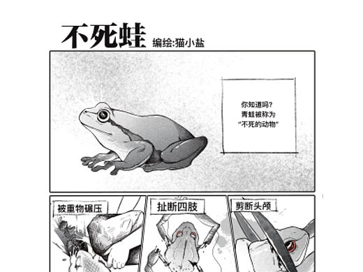 原创恐怖漫画《不死蛙》