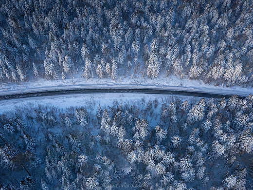 荒野之旅