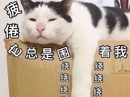 奶茶海报设计，酸性海报