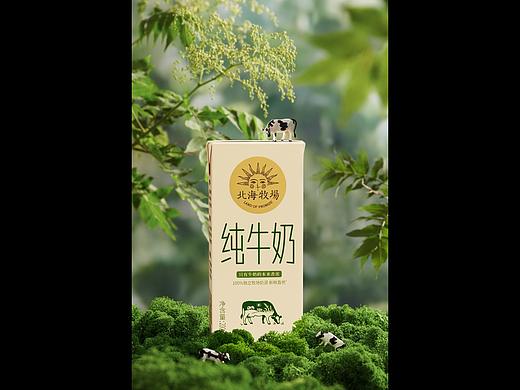北海牧场纯牛奶