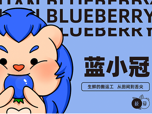 水果品牌IP形象设计-蓝莓