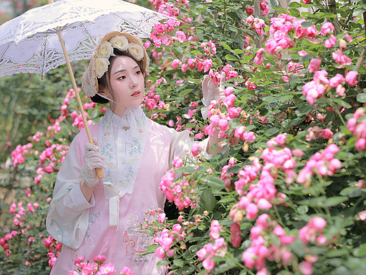客片｜汉洋折衷蔷薇月季汉服少女写真