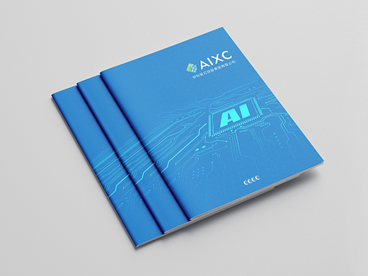 企业宣传画册_智芯控股