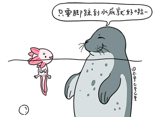 《六角恐龙拜师记》