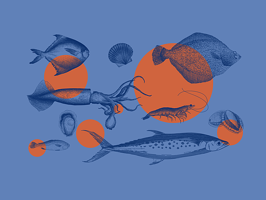 鲜！威海海鲜礼盒设计