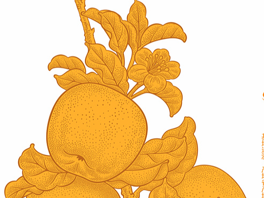 農(nóng)產(chǎn)品插畫設(shè)計（個人主頁-ZNjQ4NDQzMzI=） - 商業(yè)插畫 - 站酷設(shè)計師白色印泥原創(chuàng)素材 - 站酷ZCOOL