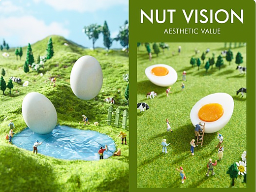 锦华食品 | 咸鸭蛋 | 坚果视觉工厂