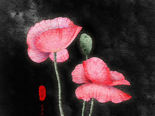 板绘水彩花卉虞美人