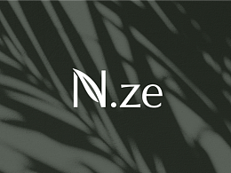 N.ze 让改变由内而生 品牌包装体系化设计