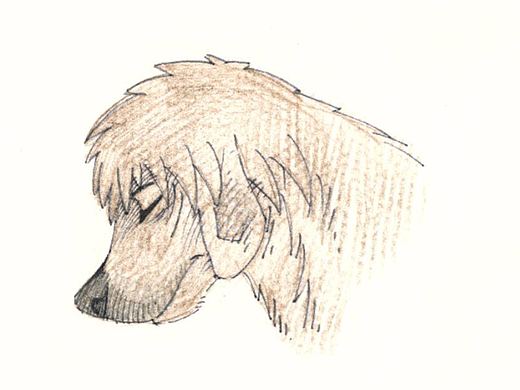 《小山坡》漫画版—完整合集