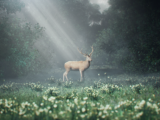 UE5|作品周练（个人主页-ZNjc4NjQyMDQ=） - 短片 - 站酷设计师旅某人丶原创素材 - 站酷ZCOOL