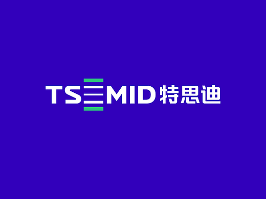 品牌升级全案_制造业LOGO设计_logo设计公司——特思迪