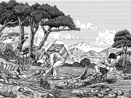 最近的包装插画