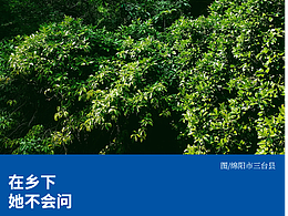 广告海报练习