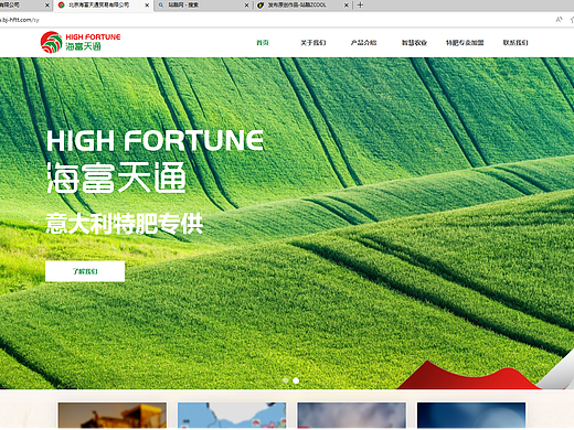 成功案例(设计+开发+维护)