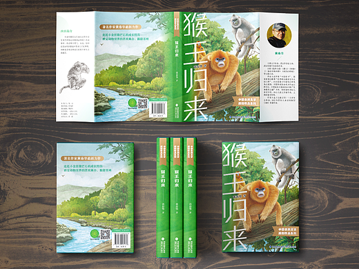 中国自然文学原创小说系列-儿童小说封面设计（个人主页-ZNjQ4NTc1OTY=） - 书籍/画册 - 站酷设计师rabbit1119原创素材 - 站酷ZCOOL