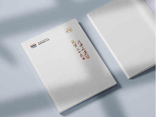 交通集团沿海公司二十周年画册