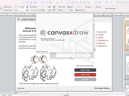 Canvas X Draw for Mac(专业插图绘制软件) 