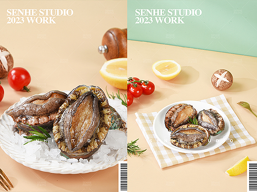 鲜活鲍鱼 生鲜拍摄