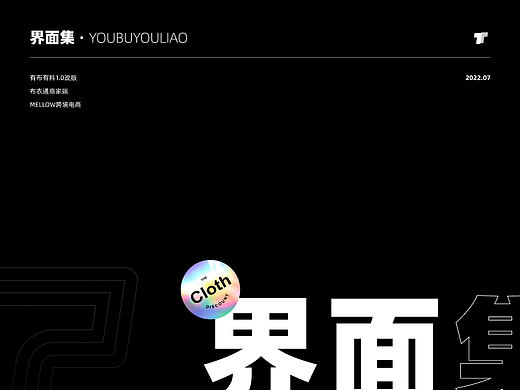 年中项目总结