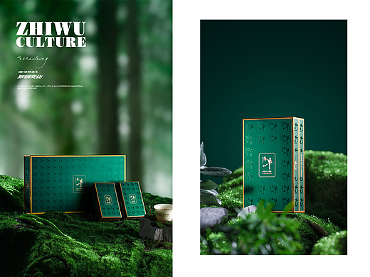 把茶园搬到影棚 茶叶产品拍摄 美食拍摄 春日氛围图