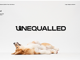 UNEQUALLED 宠物服装 Brand design