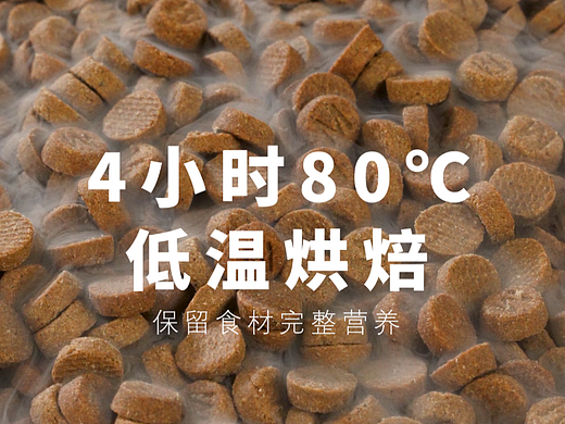 猫粮视频|宠物食品摄影|电商视频|广告狗粮×郑州密斯杨