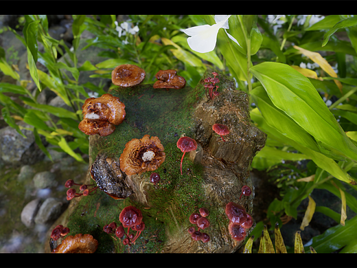 寂静的世界ue4特写