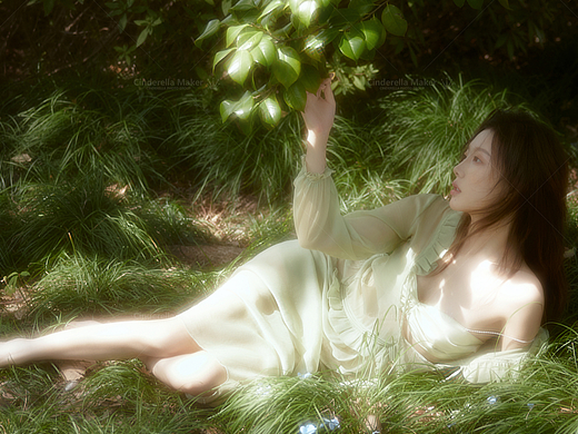 写真（四十六）